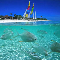 Top Philippines luxury resorts, Amanpulo snorkelling
