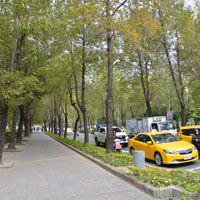 Taipei guide, Zongshan District is lined with shade trees