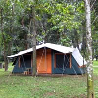 Farm Chokchai tent stays are rustic