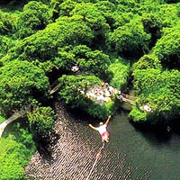 Adrenaline rush, bungy jump near Kathu Falls