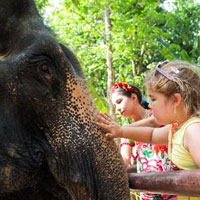 Child-friendly Phuket, elephants at Siam Safari