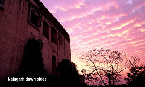 Nalagarh dawn skles / photo: Vijay Verghese