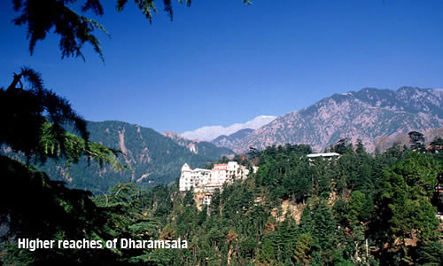 Higher reaches of Dharamsala / photo: Vijay Verghese