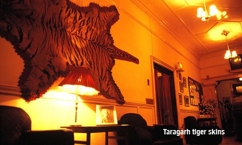 Taragarh tiger skins / photo: Vijay Verghese