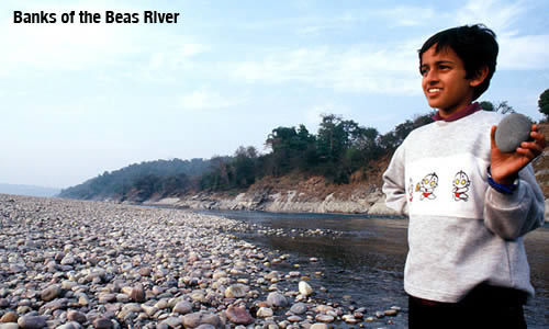 Banks of the Beas River / photo: Vijay Verghese